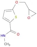 2-Thiophenecarboxamide, N-methyl-5-(oxiranylmethoxy)-