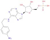 5'-Adenylic acid, N-[2-(4-aminophenyl)ethyl]-