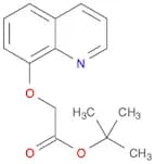 Acetic acid, (8-quinolinyloxy)-, 1,1-dimethylethyl ester