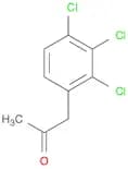 1-(2,3,4-trichlorophenyl)propan-2-one
