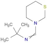 2H-1,3-Thiazine, 3-[[(1,1-dimethylethyl)imino]methyl]tetrahydro-