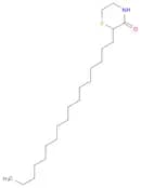 3-Thiomorpholinone, 2-heptadecyl-