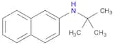2-Naphthalenamine, N-(1,1-dimethylethyl)-