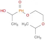 Phosphinic acid, (1-hydroxyethyl)-, 2-(1-methylethoxy)ethyl ester