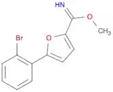 2-Furancarboximidic acid, 5-(2-bromophenyl)-, methyl ester