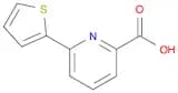 6-Thien-2-ylpyridine-2-carboxylic acid