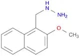 [(2-methoxynaphthalen-1-yl)methyl]hydrazine