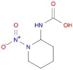 Carbamic acid, (1-nitro-2-piperidinyl)-