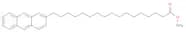 2-Anthraceneheptadecanoic acid, methyl ester