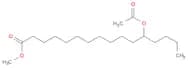 Hexadecanoic acid, 12-(acetyloxy)-, methyl ester