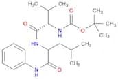 N-Boc-L-valinyl-L-leucinyl Anilide