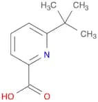 6-tert-butylpyridine-2-carboxylic acid