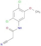 2-Cyano-N-(2,4-dichloro-5-methoxyphenyl)acetamide
