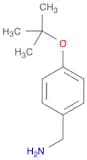 [4-(tert-butoxy)phenyl]methanamine