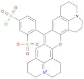 Sulforhodamine 101 acid chloride