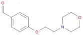4-(2-Morpholinoethoxy)benzaldehyde