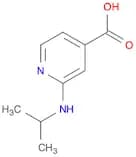 2-(Isopropylamino)isonicotinic acid