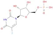 5-Fluorouridine 5′-monophosphate