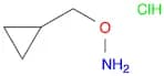 O-(Cyclopropylmethyl);hydroxylamine hydrochloride