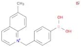 Quinolinium, 1-[(4-boronophenyl)methyl]-6-methyl-, bromide