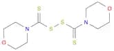 Morpholine,4,4'-(dithiodicarbonothioyl)bis-
