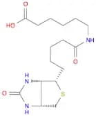 6-(5-((3aS,4S,6aR)-2-Oxohexahydro-1H-thieno[3,4-d]imidazol-4-yl)pentanamido)hexanoic acid