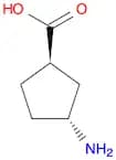 (1R,3R)-3-Aminocyclopentanecarboxylic acid