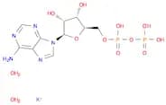 Adenosine 5'-diphosphate monopotassium salt dihydrate