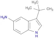 3-tert-Butyl-1H-indol-5-amine