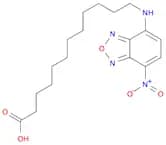 12-(7-NITROBENZOFURAZAN-4-YLAMINO)DODECANOIC ACID