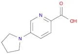 5-Pyrrolidin-1-ylpyridine-2-carboxylic acid