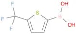 5-Trifluoromethyl-thiophene-2-boronic acid