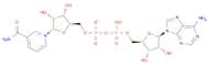 α-nicotinamide adenine dinucleotide,α-diphosphopyri