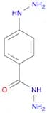 4-HYDRAZINYL-BENZOIC ACID HYDRAZIDE