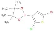 2-(5-BROMO-2-CHLOROTHIOPHEN-3-YL)-4,4,5,5-TETRAMETHYL-1,3,2-DIOXABOROLANE