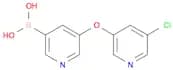 Boronic acid, B-[5-[(5-chloro-3-pyridinyl)oxy]-3-pyridinyl]-