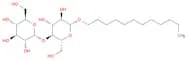 n-Dodecyl b-D-Maltoside