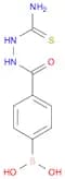 2-(4-Boronobenzoyl)hydrazinecarbothioamide
