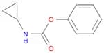 CYCLOPROPYL-CARBAMIC ACID PHENYL ESTER