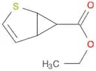 Ethyl 2-thiabicyclo[3.1.0]hex-3-ene-6-carboxylate