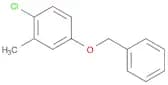 Benzene, 1-chloro-2-methyl-4-(phenylmethoxy)-