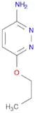 6-Propoxypyridazin-3-amine