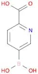 5-Boronopicolinic acid