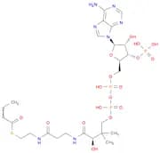 crotonyl-coenzyme A