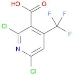2,6-Dichloro-4-(trifluoromethyl)nicotinic acid