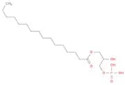 Hexadecanoic acid,2-hydroxy-3-(phosphonooxy)propyl ester