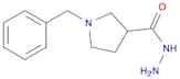 1-Benzyl-pyrrolidine-3-carboxylic acid hydrazide