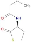 N-butyryl-L-Homocysteine thiolactone