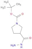 tert-Butyl 3-(hydrazinecarbonyl)pyrrolidine-1-carboxylate