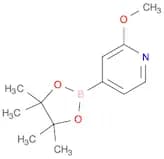 2-Methoxypyridine-4-boronic acid, pinacol ester